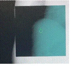 [図]